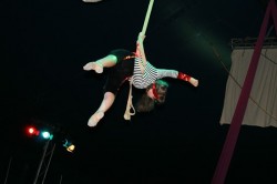 Pirate Performers Aerial Act