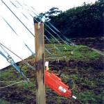 Serious tent pegs