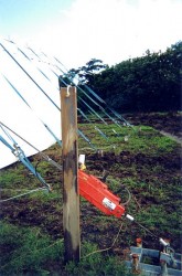 Serious tent pegs