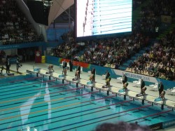 Seating - Melbourne Commonwealth Games