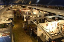 Singleton Mining Expo