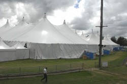 Singleton Mining Expo