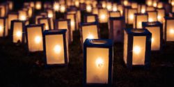 Christmas lanterns for a carols by candlelight event